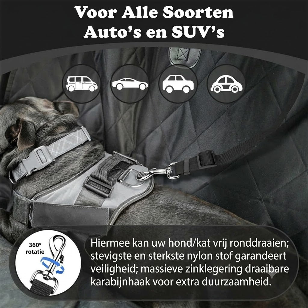 2-in-1 hondenautogordel en wandelriem