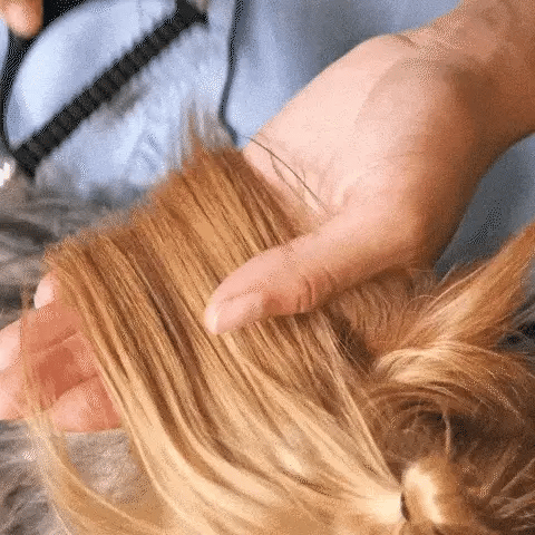 Dubbelzijdige Huisdierontharingsborstel