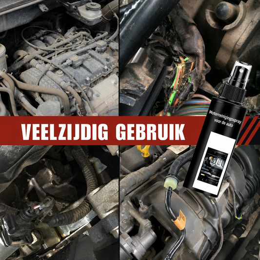 Reinigingsspray voor Motoren