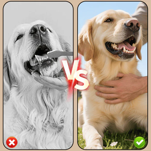 Tandsteen verwijderingsspray voor honden & katten
