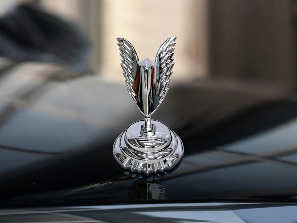 Motorkapembleem met autologo