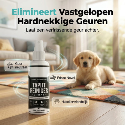 Vlekkenverwijderaar voor tapijt en bekleding zonder schrobben