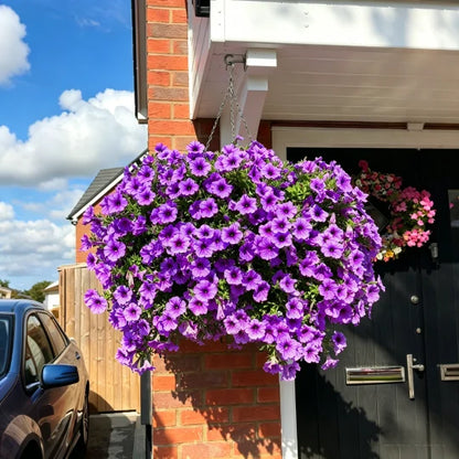 UV Bestendig Boeket met Kunstpetunia