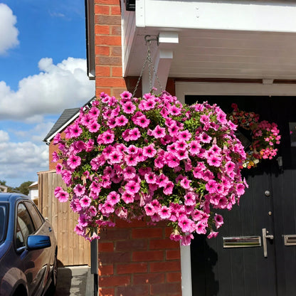 UV Bestendig Boeket met Kunstpetunia