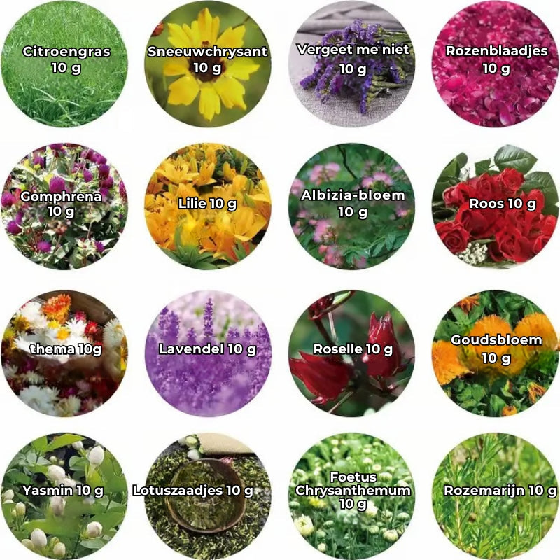 Handgemaakte Bloemenharsletters LED