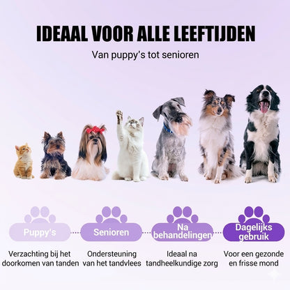 Mondherstelgel voor Huisdieren