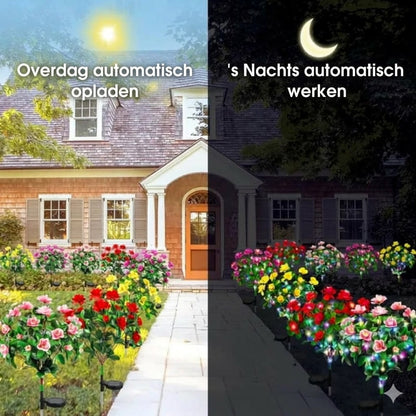 Simulatie Azalea Bloem Grondsteek Zonneverlichting