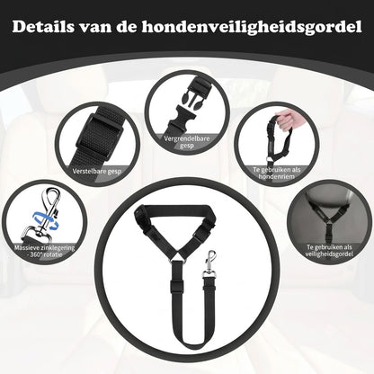 2-in-1 hondenautogordel en wandelriem