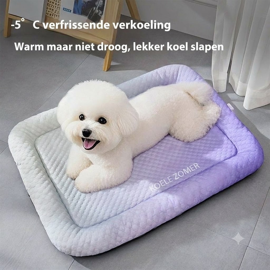 IJszijde Koelmat voor Hond en Kat