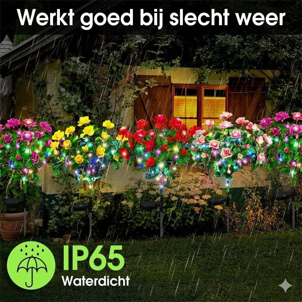 Simulatie Azalea Bloem Grondsteek Zonneverlichting