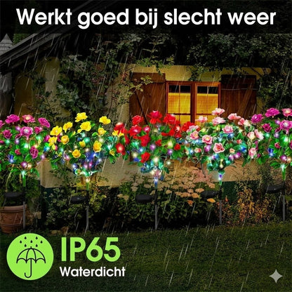 Simulatie Azalea Bloem Grondsteek Zonneverlichting