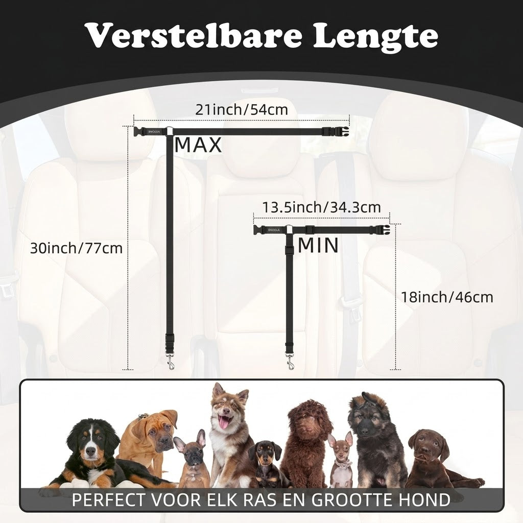 2-in-1 hondenautogordel en wandelriem