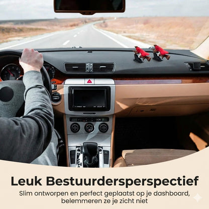 Magische bezemsteel autodashboardversiering