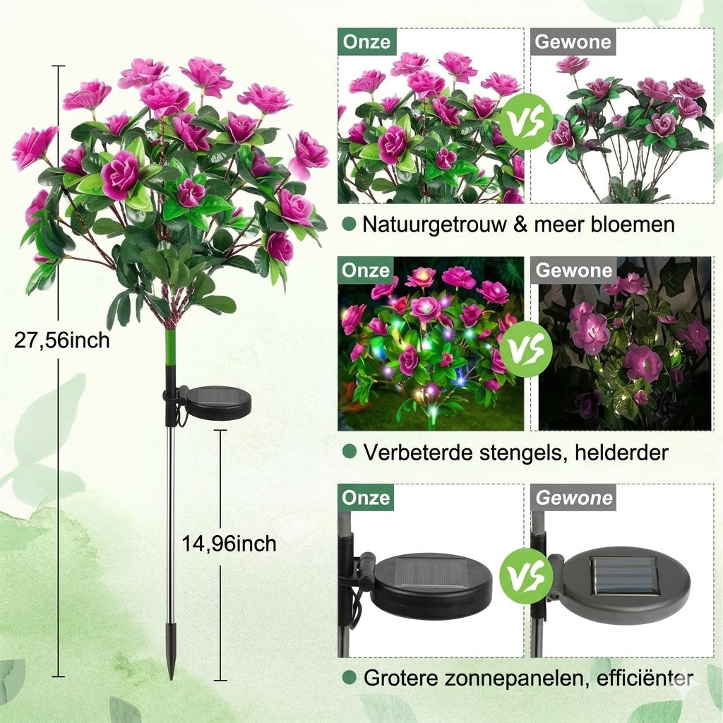 Simulatie Azalea Bloem Grondsteek Zonneverlichting