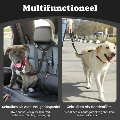 2-in-1 hondenautogordel en wandelriem