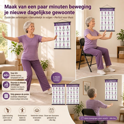 Tai chi stoeloefeningen posters voor senioren set van 2
