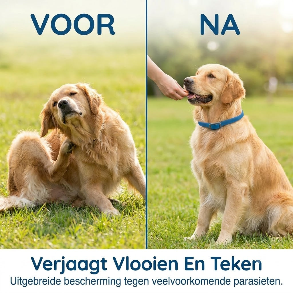 Vlooien en tekenhalsband voor huisdieren