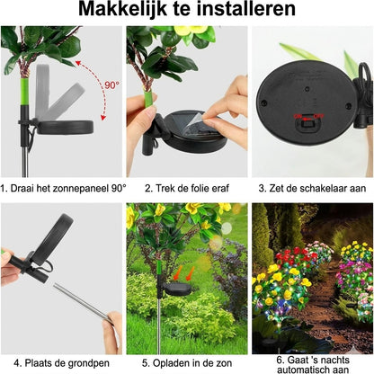 Simulatie Azalea Bloem Grondsteek Zonneverlichting