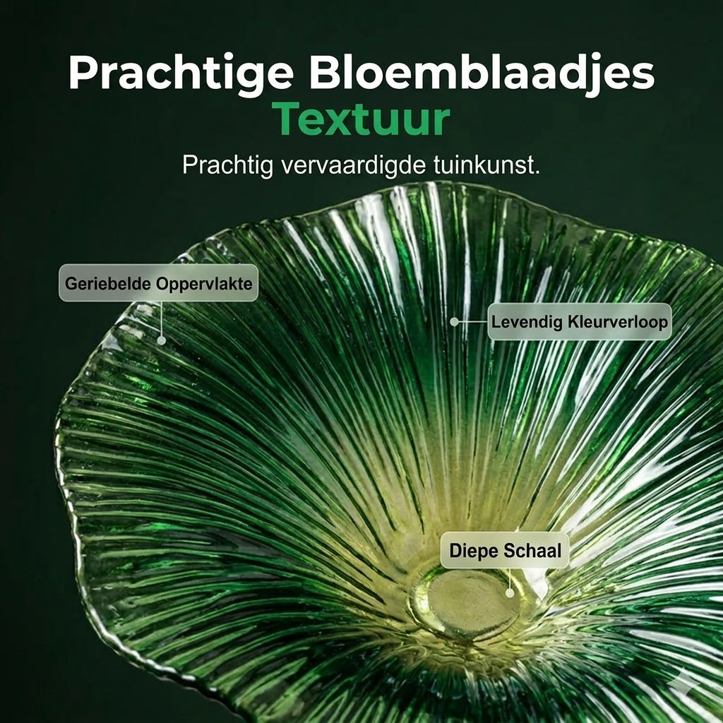 Kleurrijke Vogelvoederbak voor in de Tuin