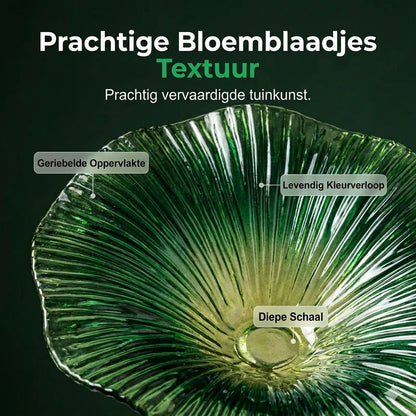 Kleurrijke Vogelvoederbak voor in de Tuin