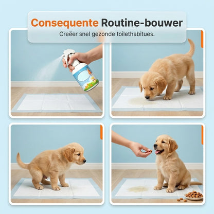 Deze spray trekt je hond of kat naar de juiste plek