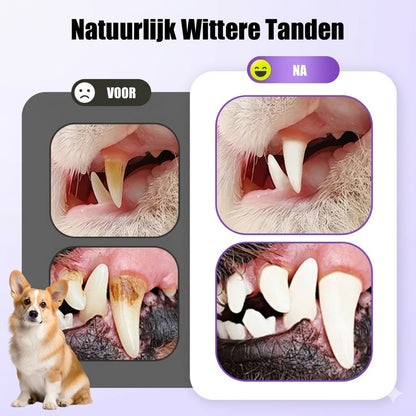 Mondherstelgel voor Huisdieren