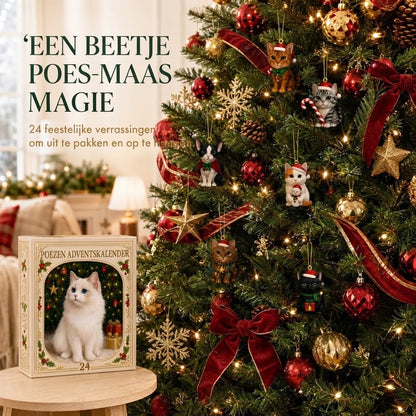 3D katten adventskalender met verrassingsdoosjes