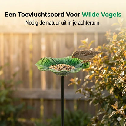 Kleurrijke Vogelvoederbak voor in de Tuin