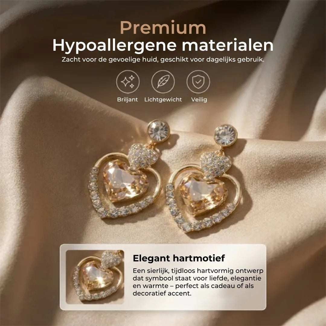 Hartvormige hangoorbellen 1 paar