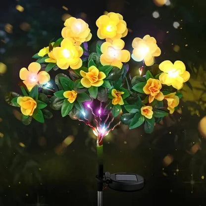Simulatie Azalea Bloem Grondsteek Zonneverlichting