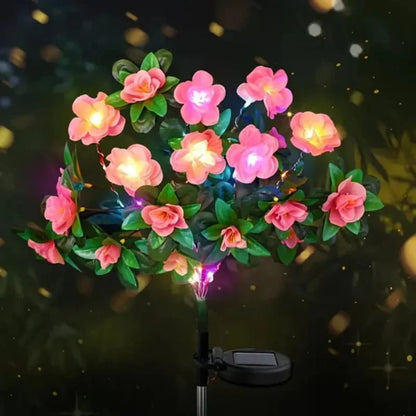Simulatie Azalea Bloem Grondsteek Zonneverlichting