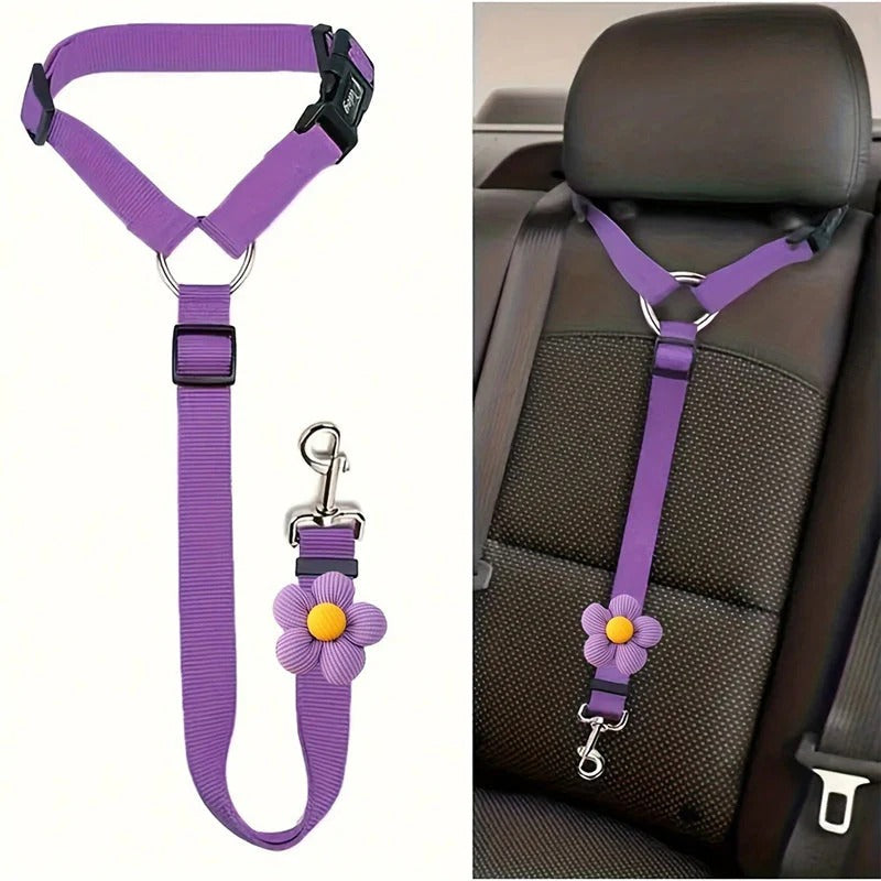 2-in-1 hondenautogordel en wandelriem