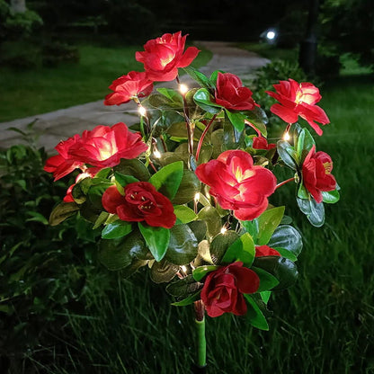 Simulatie Azalea Bloem Grondsteek Zonneverlichting