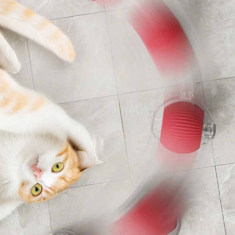 INTELLIGENTE ROLLENDE SPEELBAL VOOR HUISDIEREN