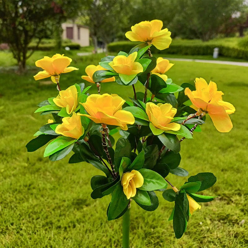 Simulatie Azalea Bloem Grondsteek Zonneverlichting