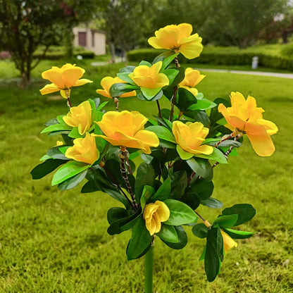 Simulatie Azalea Bloem Grondsteek Zonneverlichting