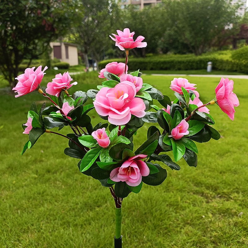 Simulatie Azalea Bloem Grondsteek Zonneverlichting