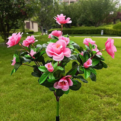 Simulatie Azalea Bloem Grondsteek Zonneverlichting