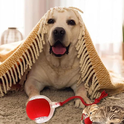 INTELLIGENTE ROLLENDE SPEELBAL VOOR HUISDIEREN