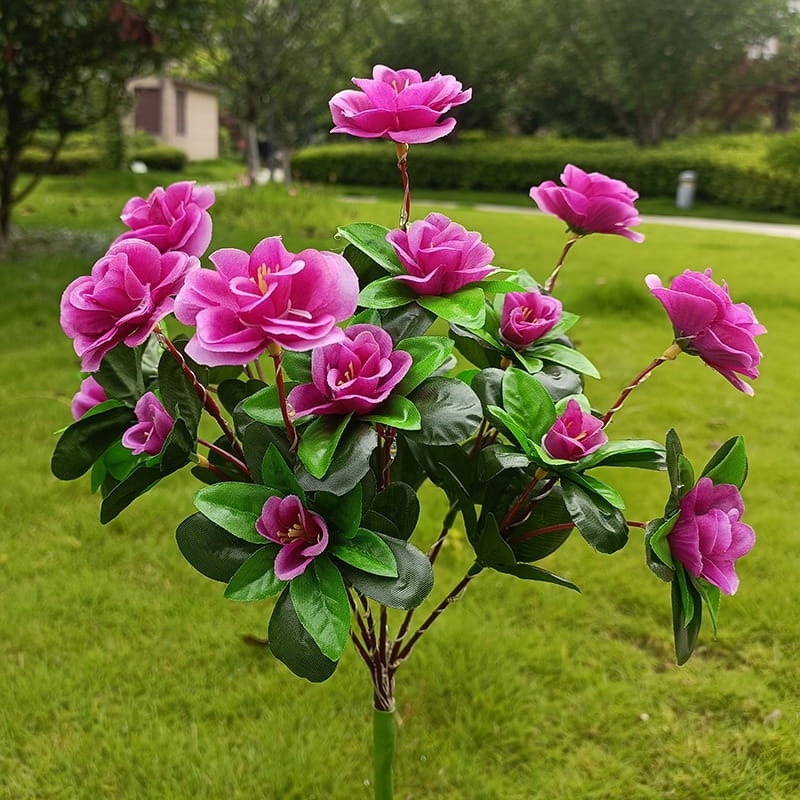 Simulatie Azalea Bloem Grondsteek Zonneverlichting