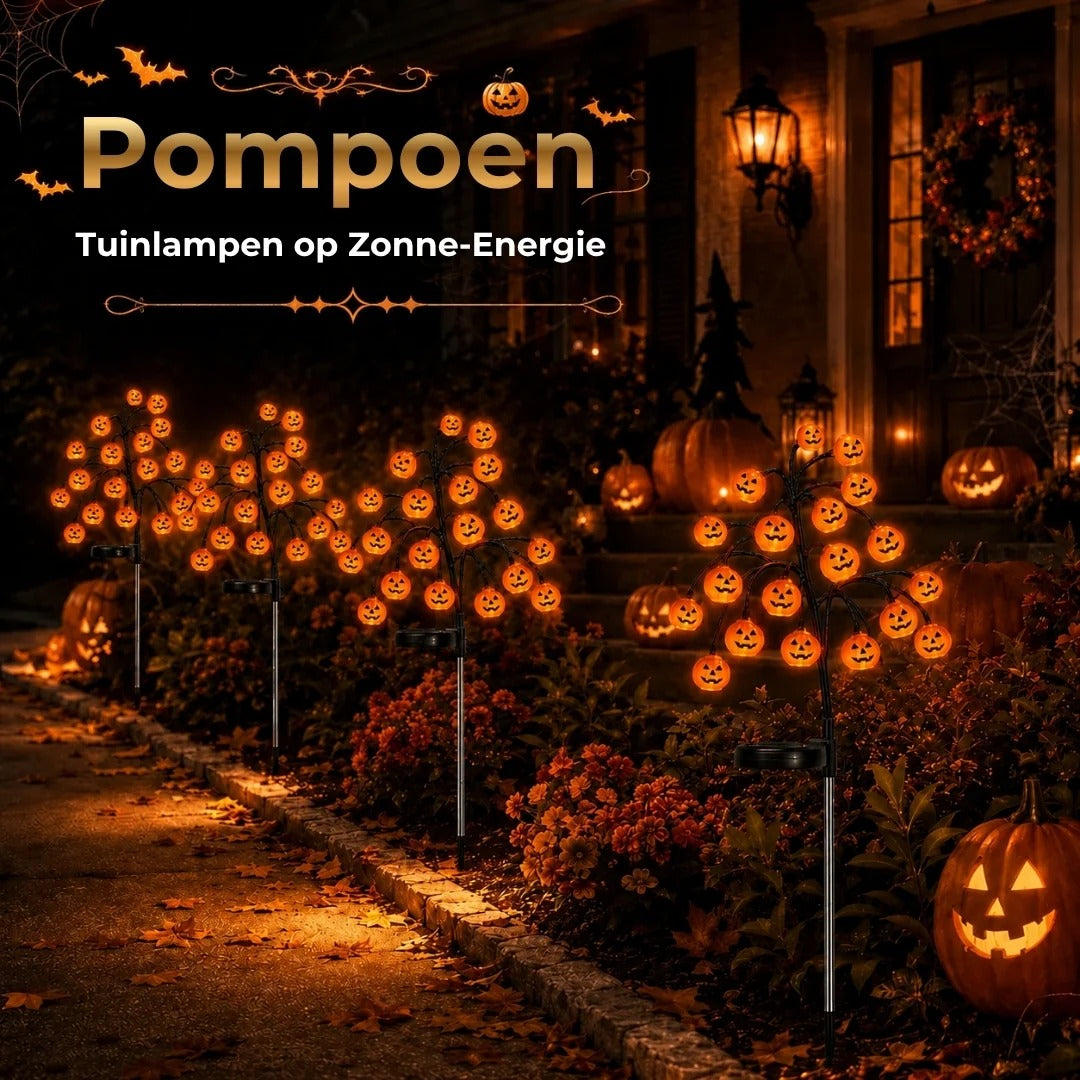Pompoen tuinlampen op zonne energie