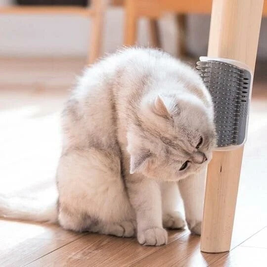 Zelfreinigende Katten Massageborstel voor Hoeken