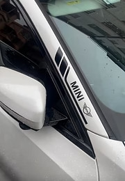 Auto Sierstickers (4 stuks)
