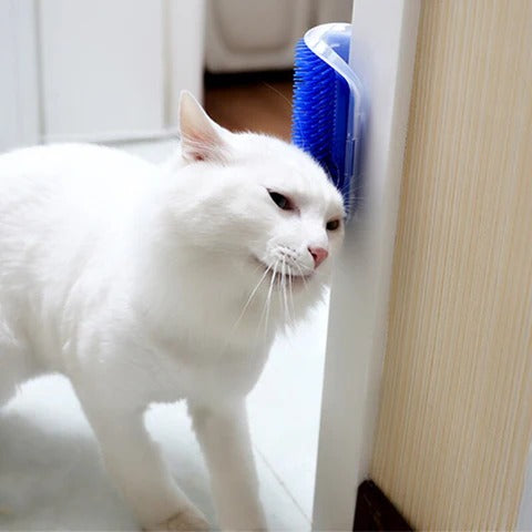 Zelfreinigende Katten Massageborstel voor Hoeken