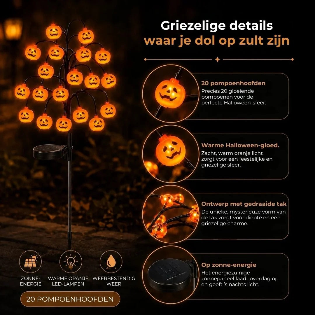Pompoen tuinlampen op zonne energie