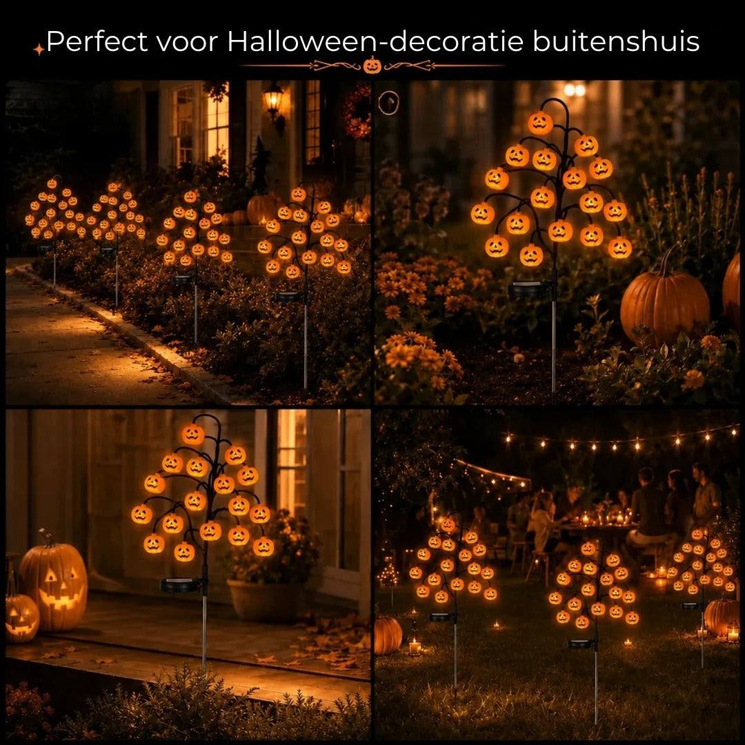 Pompoen tuinlampen op zonne energie