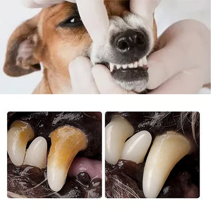 Tandsteen verwijderingsspray voor honden & katten