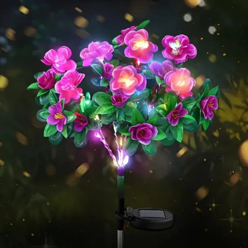 Simulatie Azalea Bloem Grondsteek Zonneverlichting