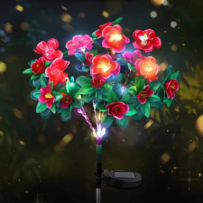 Simulatie Azalea Bloem Grondsteek Zonneverlichting